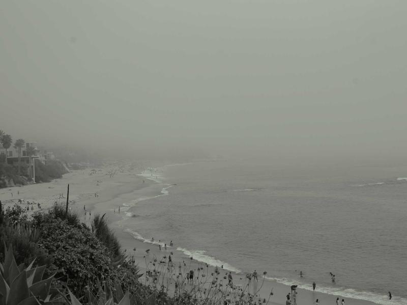 Kuljetusliikkeen ammattilaiset työssä